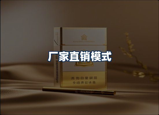专业团队办公环境